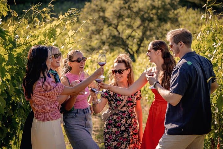 Half-Day Chianti Wine Tasting from Florence with Two Wineries