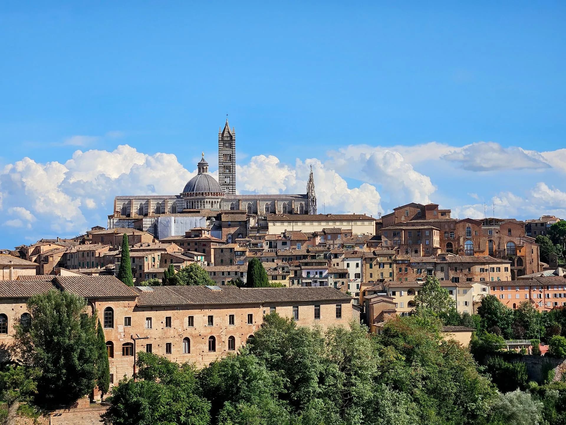 Cypress-lined road winding through green Val d'Orcia hills with a stone farmhouse on the ridge
